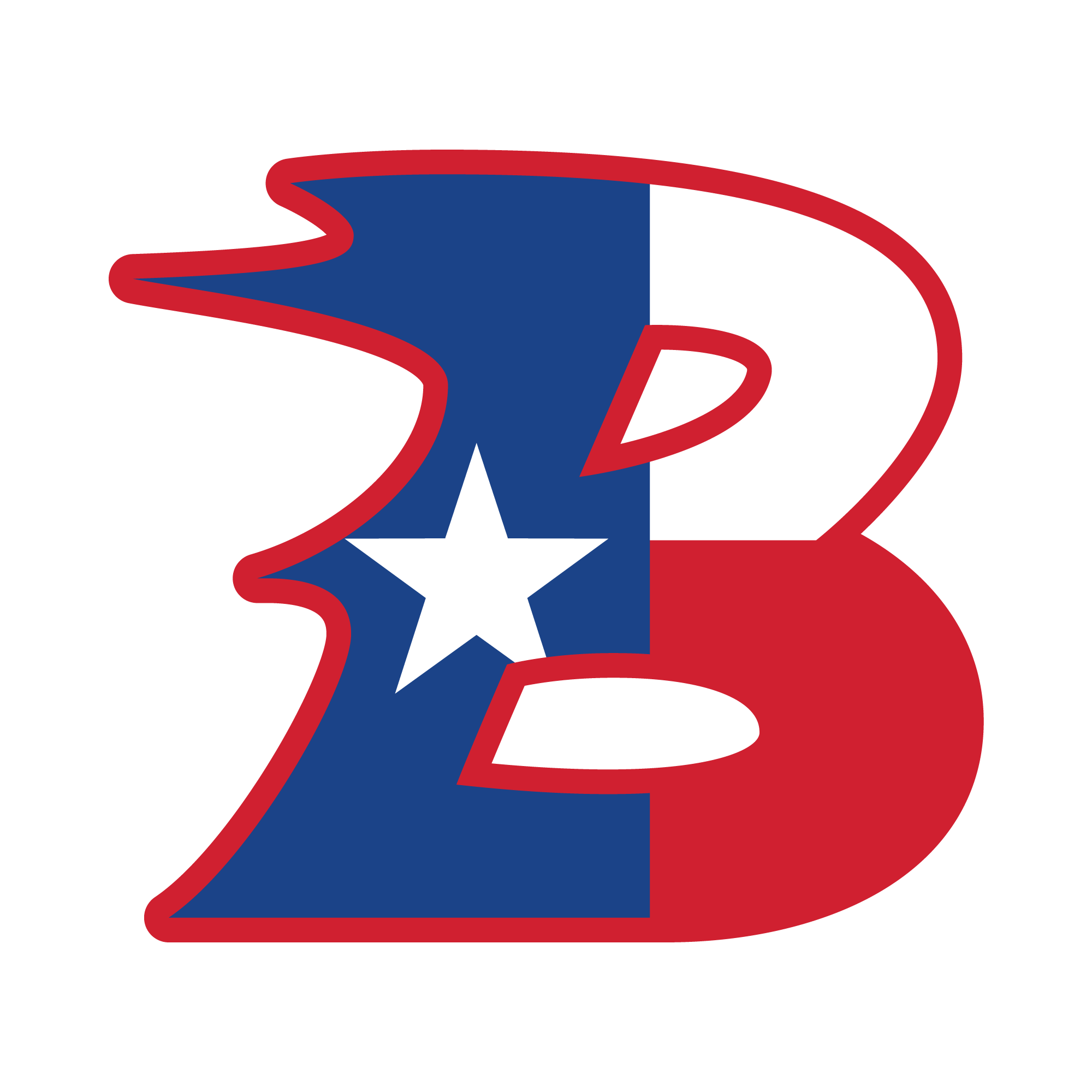 District Logo